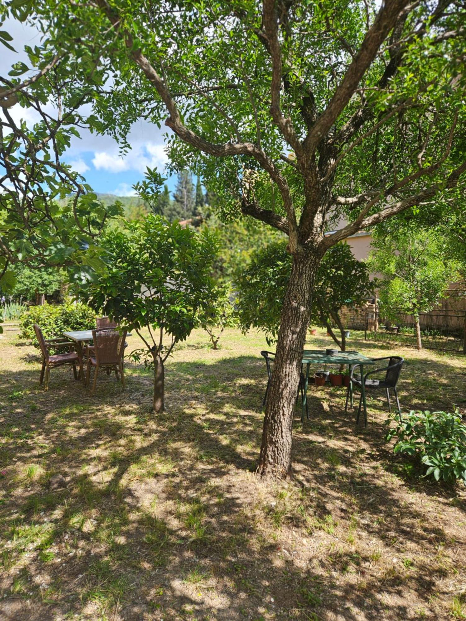 Apartamento Casa M Tivat Habitación foto